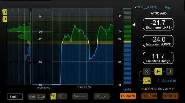 Screenshot of Mastering free - VisLM